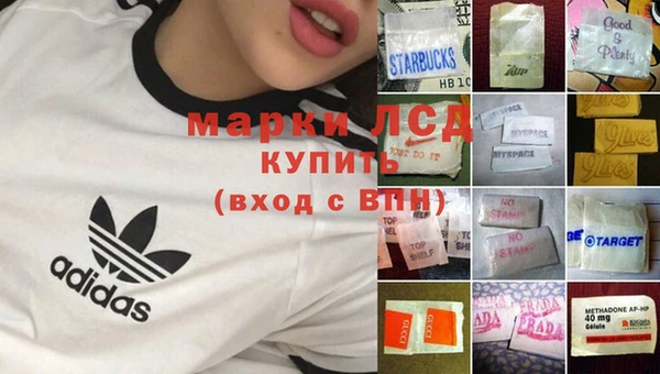 mdpv Магас