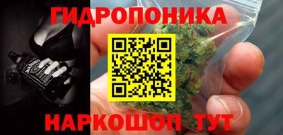 индика Бузулук